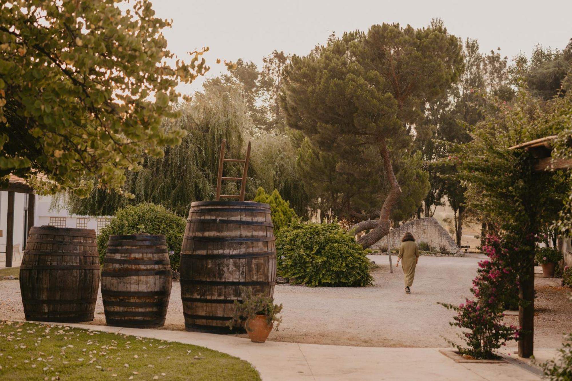 Hotel Quinta Carvalhas - The Green Farm Casevel Exterior foto