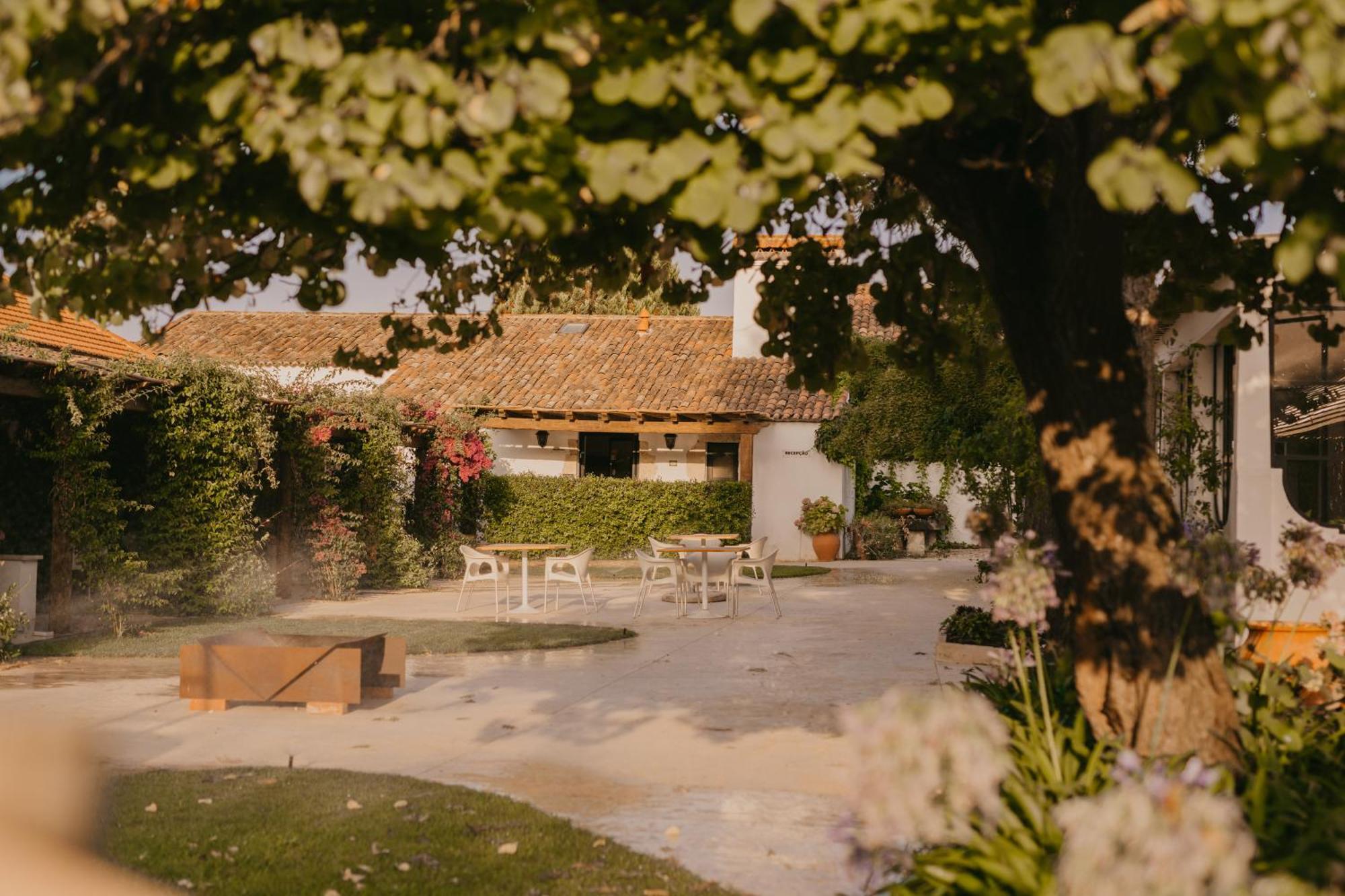 Hotel Quinta Carvalhas - The Green Farm Casevel Exterior foto