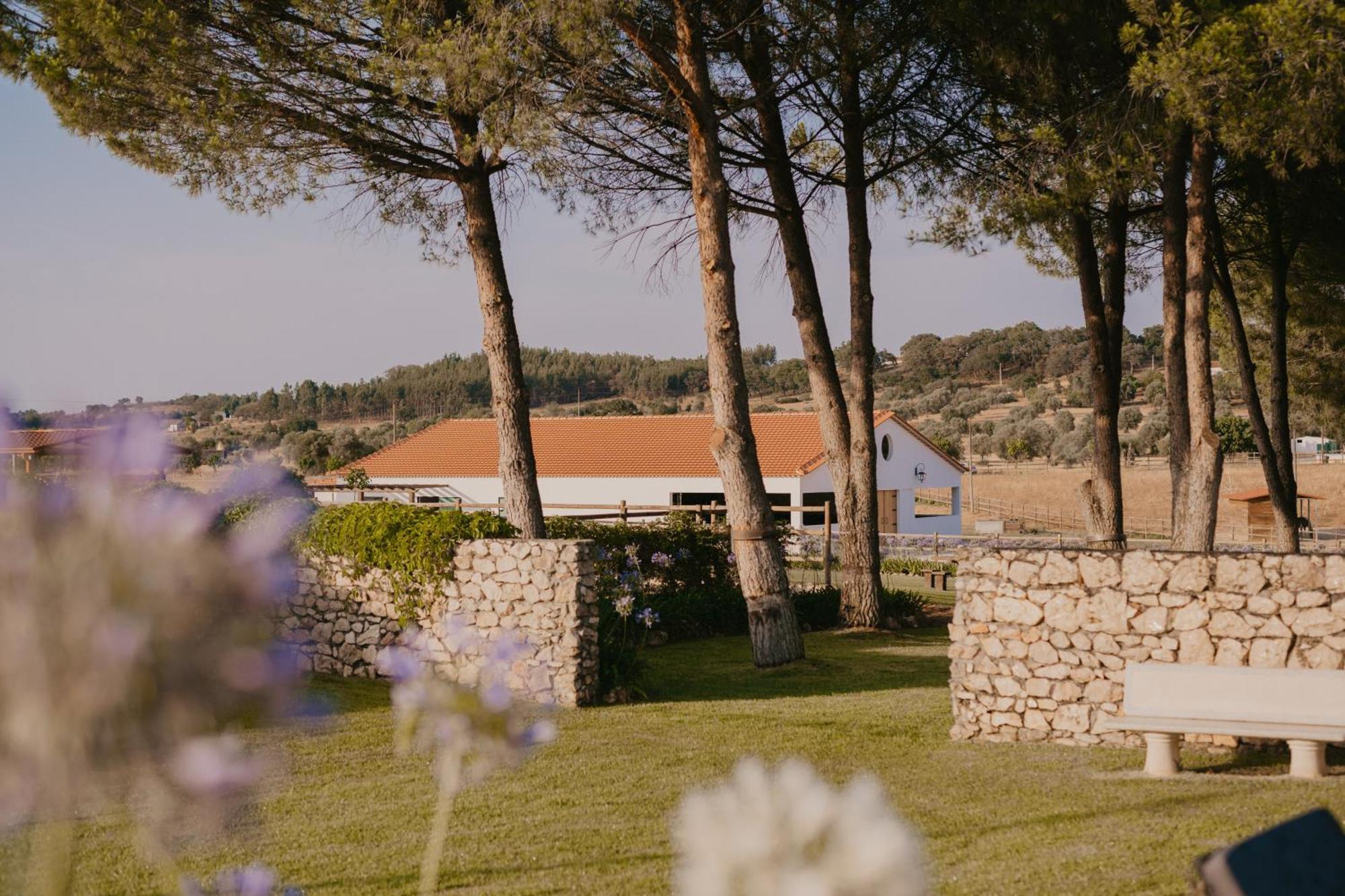 Hotel Quinta Carvalhas - The Green Farm Casevel Exterior foto